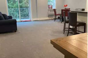 320 E Shore Rd, Great Neck, NY 11023 - Photo 23