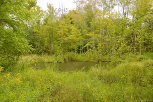 2829 Route 9G, Rhinebeck, NY 12572 - Photo 33