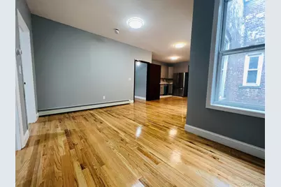 165 Chestnut Street, Brooklyn, NY 11208 - Photo 19