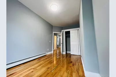 165 Chestnut Street, Brooklyn, NY 11208 - Photo 9