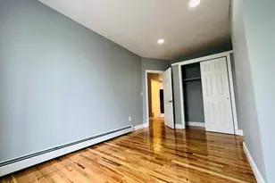 165 Chestnut St, Brooklyn, NY 11208 - Photo 17