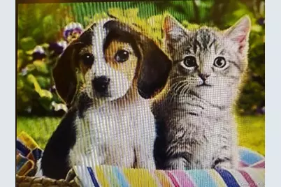 224-65 Kingsbury Avenue #B, Bayside, NY 11364 - Photo 27