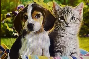 224-65 Kingsbury Ave, Bayside, NY 11364 - Photo 27