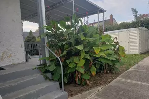 269 Windsor Pkwy, Hempstead, NY 11550 - Photo 3