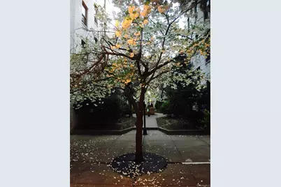 21-28 35th #2A, Astoria, NY 11105 - Photo 23