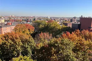 39-60 54 St, Woodside, NY 11377 - Photo 3