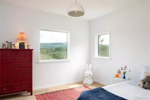 78 Waldorf Ridge Rd, Copake Falls, NY 12516 - Photo 19