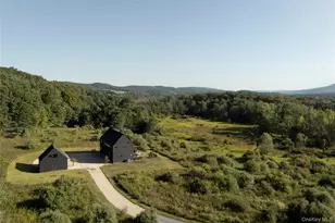 78 Waldorf Ridge Rd, Copake Falls, NY 12516 - Photo 3