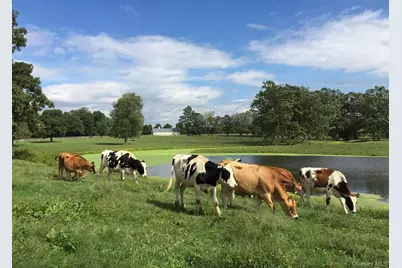 2039 Salt Point Turnpike, Salt Point, NY 12578 - Photo 21