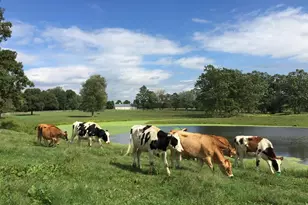 2039 Salt Point Turnpike, Salt Point, NY 12578 - Photo 21