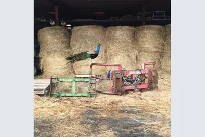 2039 Salt Point Turnpike, Salt Point, NY 12578 - Photo 23