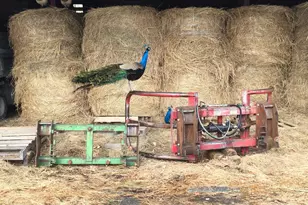 2039 Salt Point Turnpike, Salt Point, NY 12578 - Photo 23