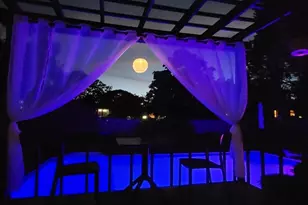 11 Susan Ct, Deer Park, NY 11729 - Photo 33