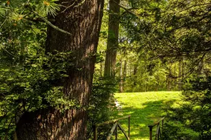 425 Camby Rd, Verbank, NY 12585 - Photo 37