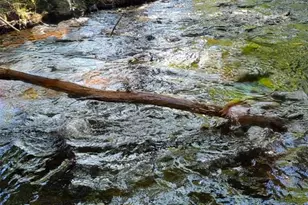 910 State Route 42, Sparrow Bush, NY 12780 - Photo 9