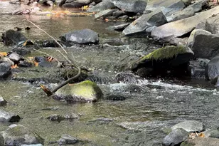 910 State Route 42, Sparrow Bush, NY 12780 - Photo 5