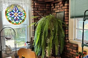 761 E Main St, Riverhead, NY 11901 - Photo 7