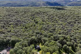 441 Cushetunk Dr, Cochecton Center, NY 12726 - Photo 39