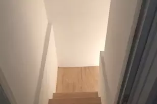 3238 Wilson Ave, Bronx, NY 10469 - Photo 25