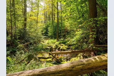 197 Trails End Road, Kerhonkson, NY 12446 - Photo 19