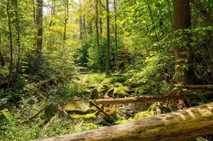 197 Trails End Rd, Kerhonkson, NY 12446 - Photo 19