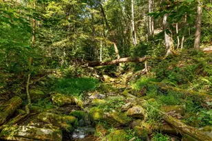 197 Trails End Rd, Kerhonkson, NY 12446 - Photo 3