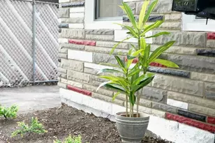 167-17 Linden Blvd, Jamaica, NY 11434 - Photo 3