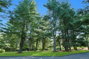 204 Holly Stream Ct, Brewster, NY 10509 - Photo 19