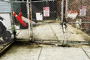 2249 Bassford Ave, Bronx, NY 10457 - Photo 5