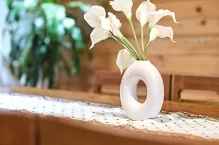 4 Spies Rd, New Paltz, NY 12561 - Photo 17