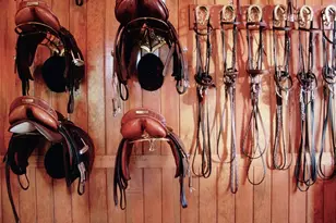 119-125 Butts Hollow Rd, Millbrook, NY 12545 - Photo 23