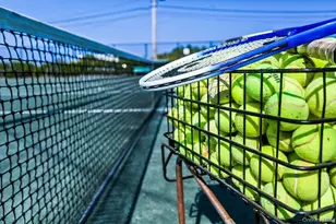 231 Dune Rd, Westhampton Beach, NY 11978 - Photo 9