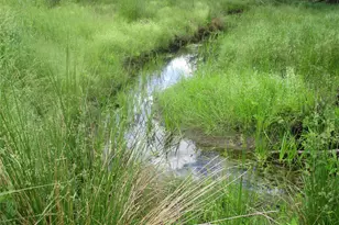 155 & 147 Sherman Rd, Ellenville, NY 12428 - Photo 5