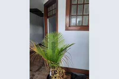 129 Canal Street, Ellenville, NY 12428 - Photo 29