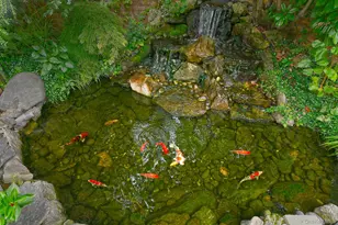 87-07 158th Ave, Howard Beach, NY 11414 - Photo 43