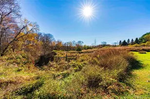 62 Seelbach Ln, Staatsburg, NY 12580 - Photo 5