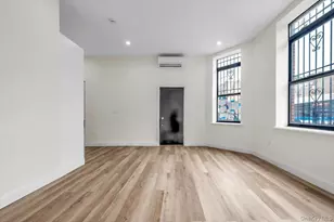 442 Marion St, Brooklyn, NY 11233 - Photo 9