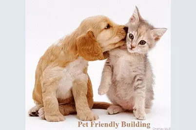 67-35 Yellowstone Boulevard #1J, Forest Hills, NY 11375 - Photo 23