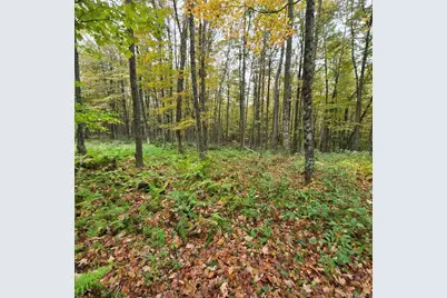 80 Swiss Hill Road N, Jeffersonville, NY 12748 - Photo 9