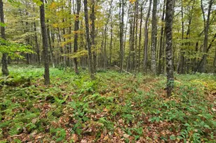 80 Swiss Hill Rd N, Jeffersonville, NY 12748 - Photo 9