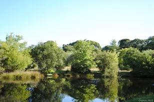 59 Watchogue Ave Watchogue Ave, East Moriches, NY 11940 - Photo 29