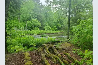 Tbd Creamery Road, Mongaup Valley, NY 12720 - Photo 3