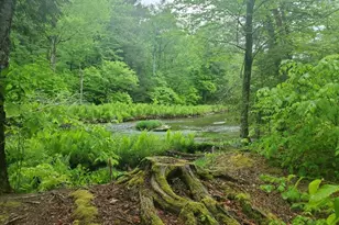 Tbd Creamery Rd, Mongaup Valley, NY 12720 - Photo 3