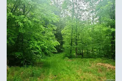 Tbd Creamery Road, Mongaup Valley, NY 12720 - Photo 9
