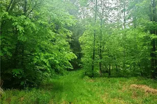 Tbd Creamery Rd, Mongaup Valley, NY 12720 - Photo 9