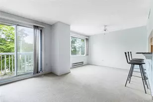 10 Stewart Pl, White Plains, NY 10603 - Photo 11