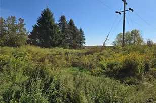 171 Winterton Rd, Bloomingburg, NY 12721 - Photo 9