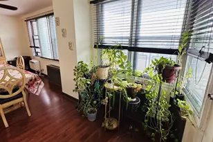 3121 Middletown Rd, Bronx, NY 10461 - Photo 15