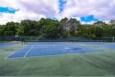 673 Blue Ridge Drive, Medford, NY 11763 - Photo 31