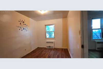 1161 E 101st Street, Brooklyn, NY 11236 - Photo 19